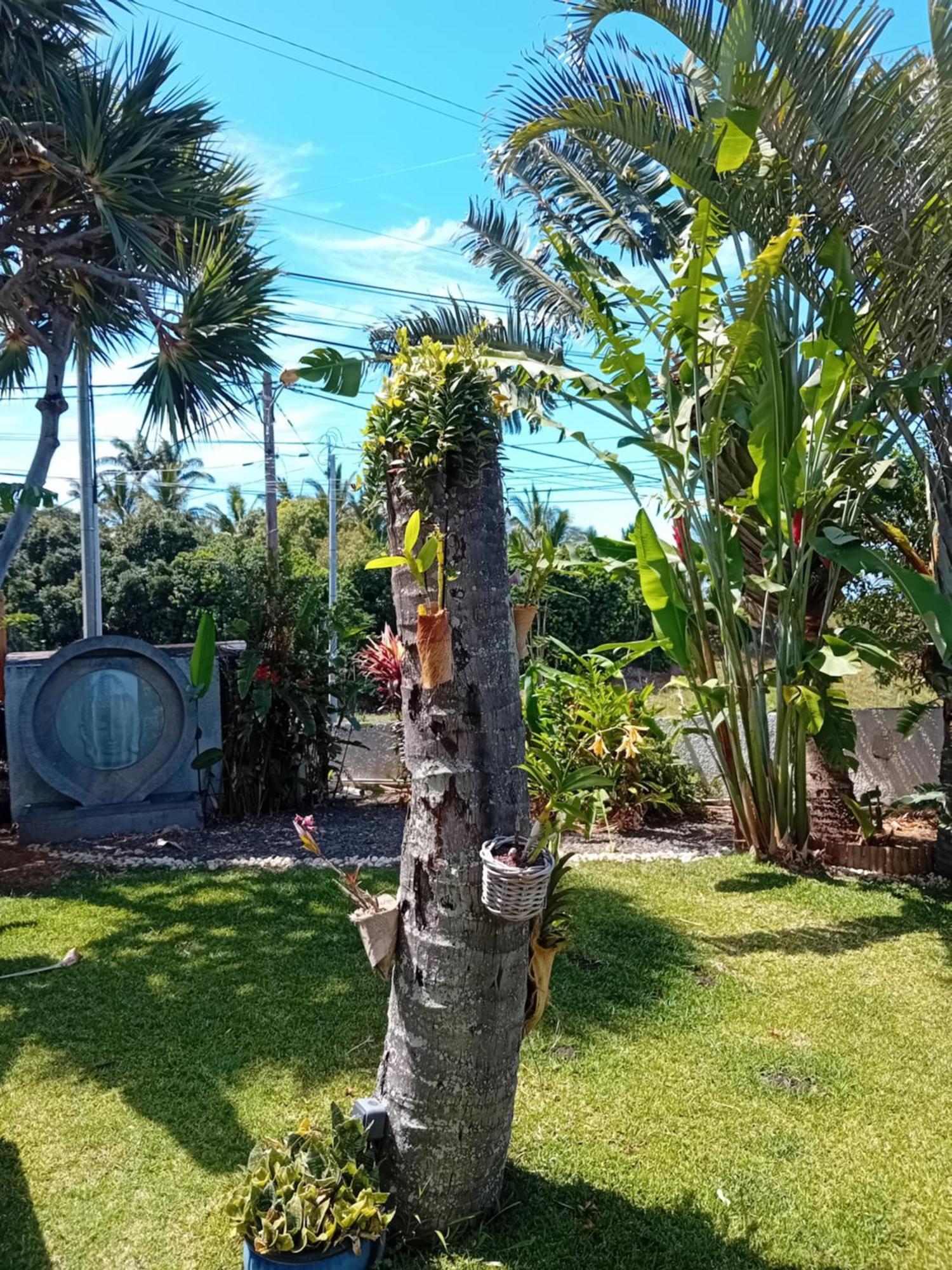 Villa Belza Et Spa (Adults Only) Saint Pierre Exterior photo
